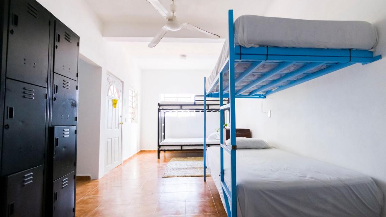 تولوم Weary Traveler Hostel الغرفة الصورة