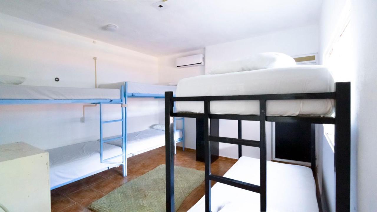 تولوم Weary Traveler Hostel الغرفة الصورة