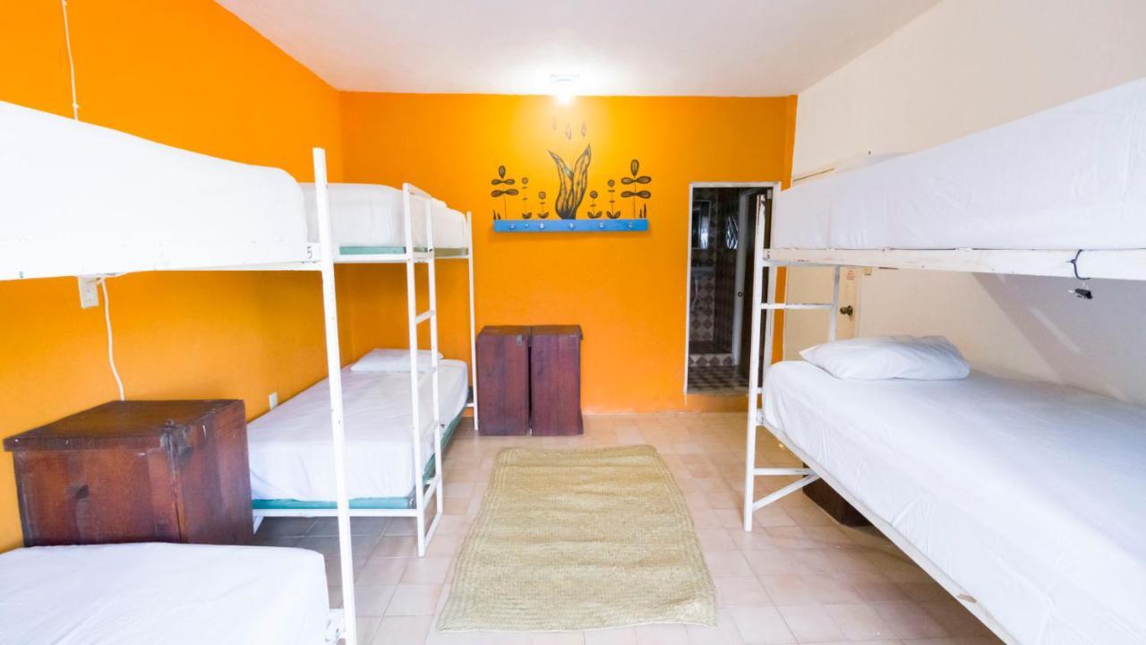 تولوم Weary Traveler Hostel الغرفة الصورة