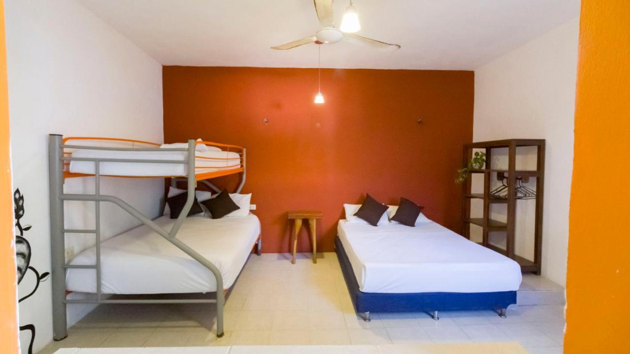 تولوم Weary Traveler Hostel المظهر الخارجي الصورة