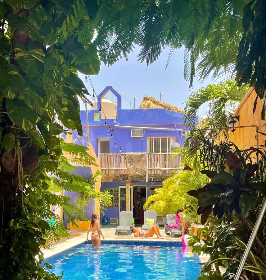 تولوم Weary Traveler Hostel المظهر الخارجي الصورة