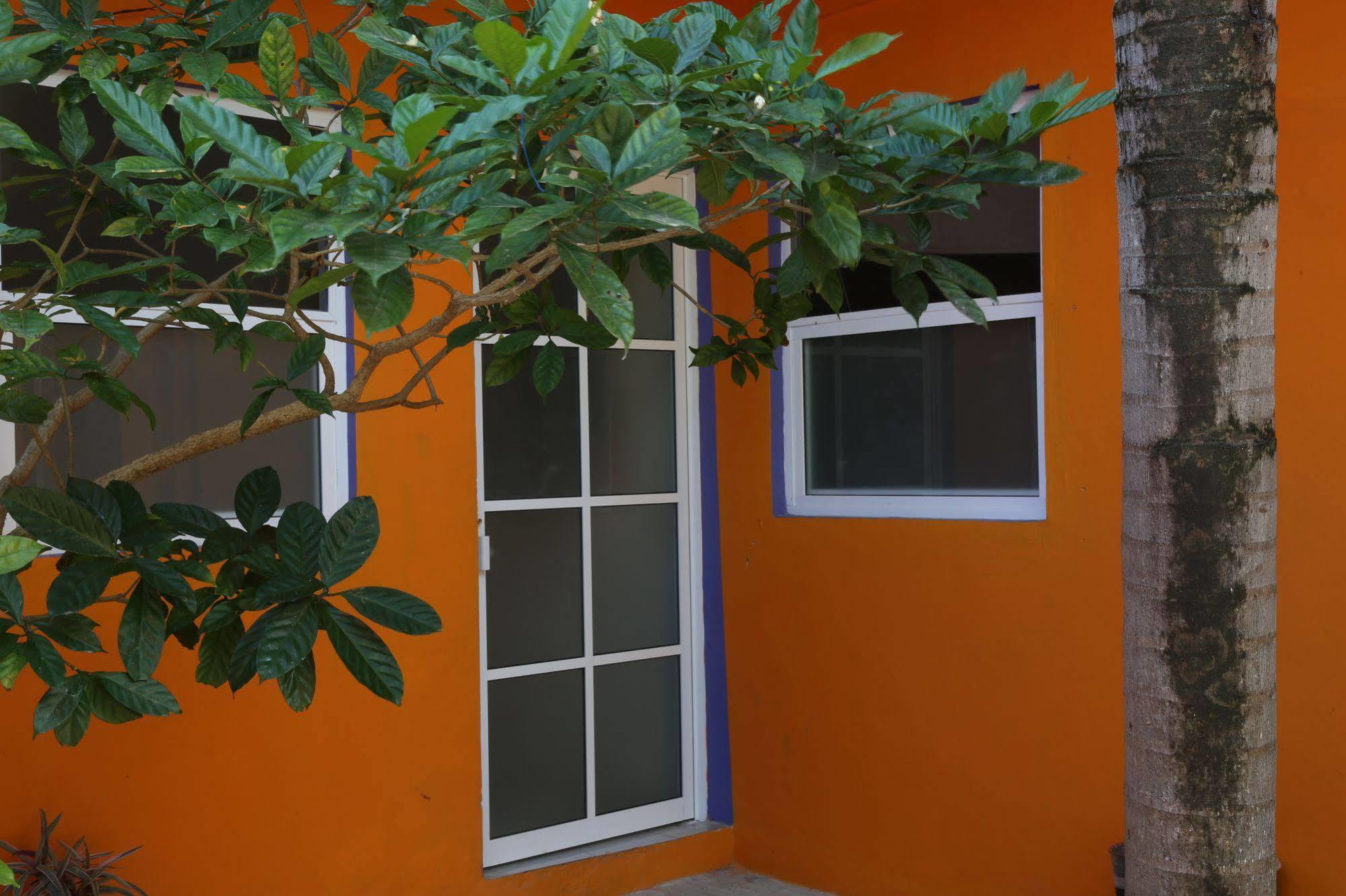 تولوم Weary Traveler Hostel المظهر الخارجي الصورة