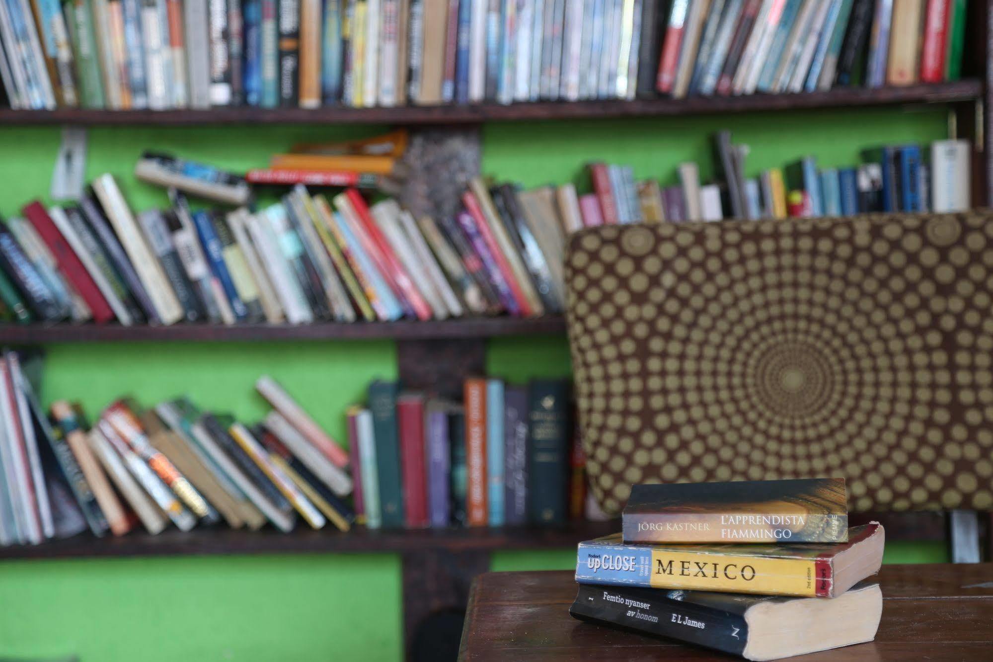 تولوم Weary Traveler Hostel المظهر الخارجي الصورة